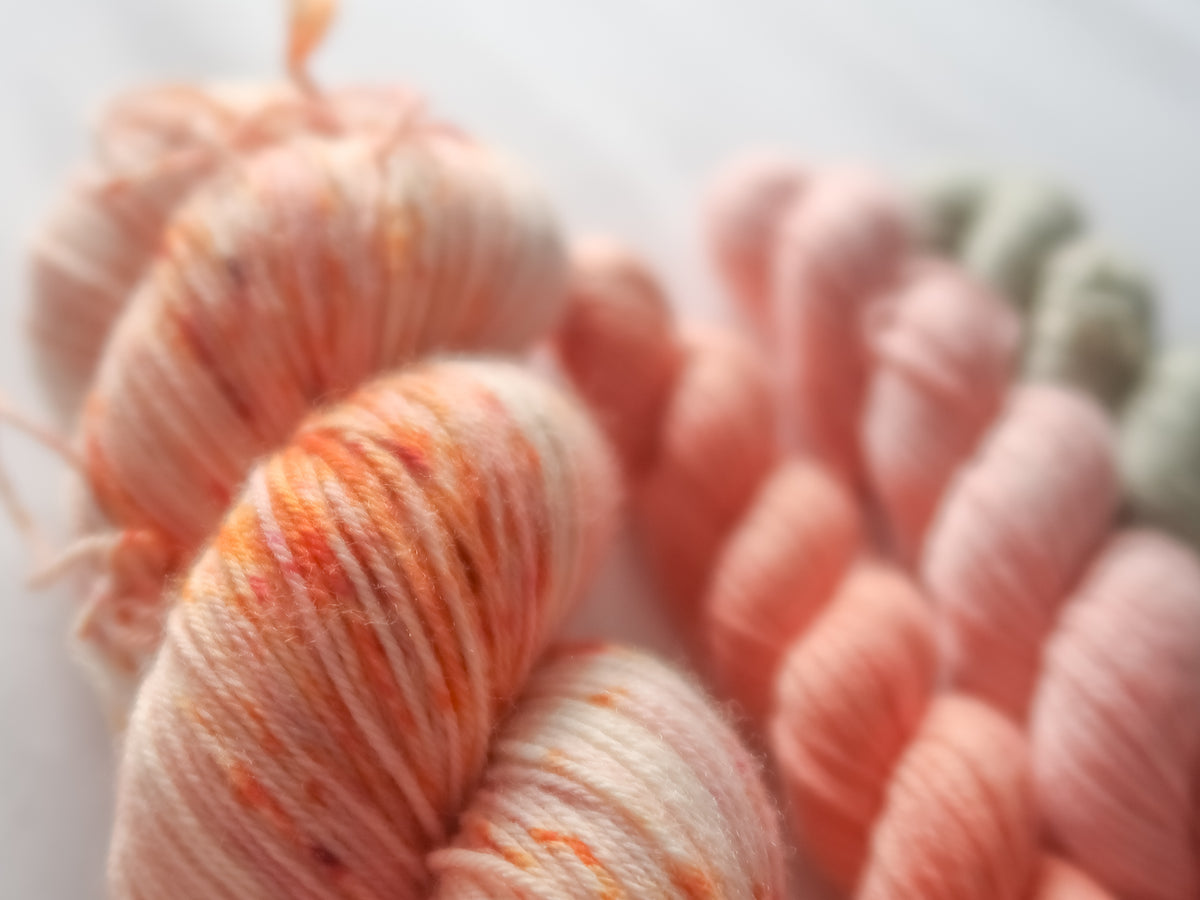 HARVEST ROSE Sock Set Bundle Handdyed Yarn from The Last Rose Collection