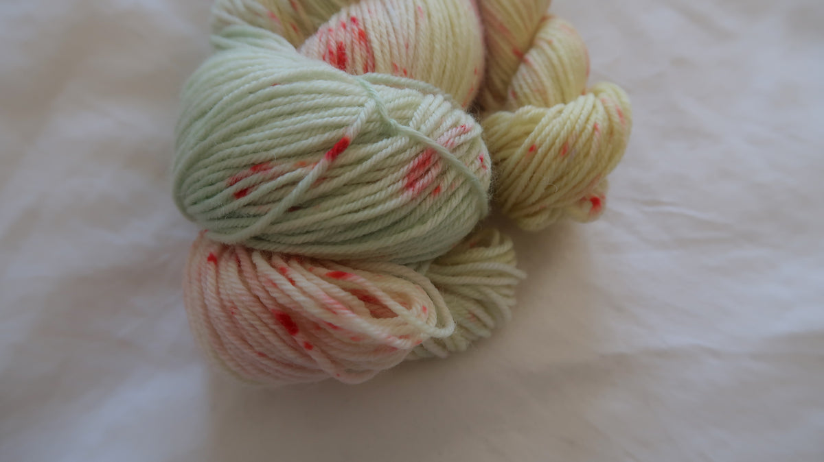Lady Philippa Darlington | Handdyed Yarn from the Christmas at Darlington Manor Collection