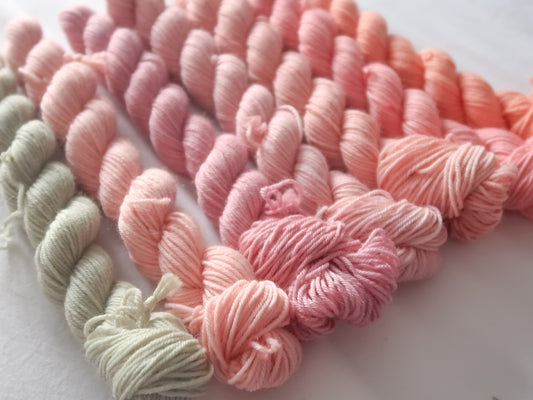 THE LAST ROSE Semi-Solid Minis Bundle Handdyed Yarn from The Last Rose Collection