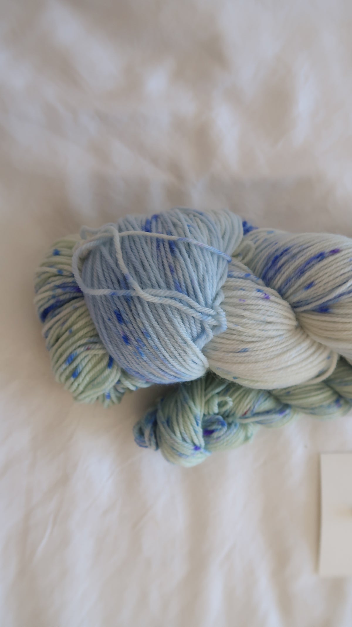 Lady Felicity Darlington | Handdyed Yarn from the Christmas at Darlington Manor Collection