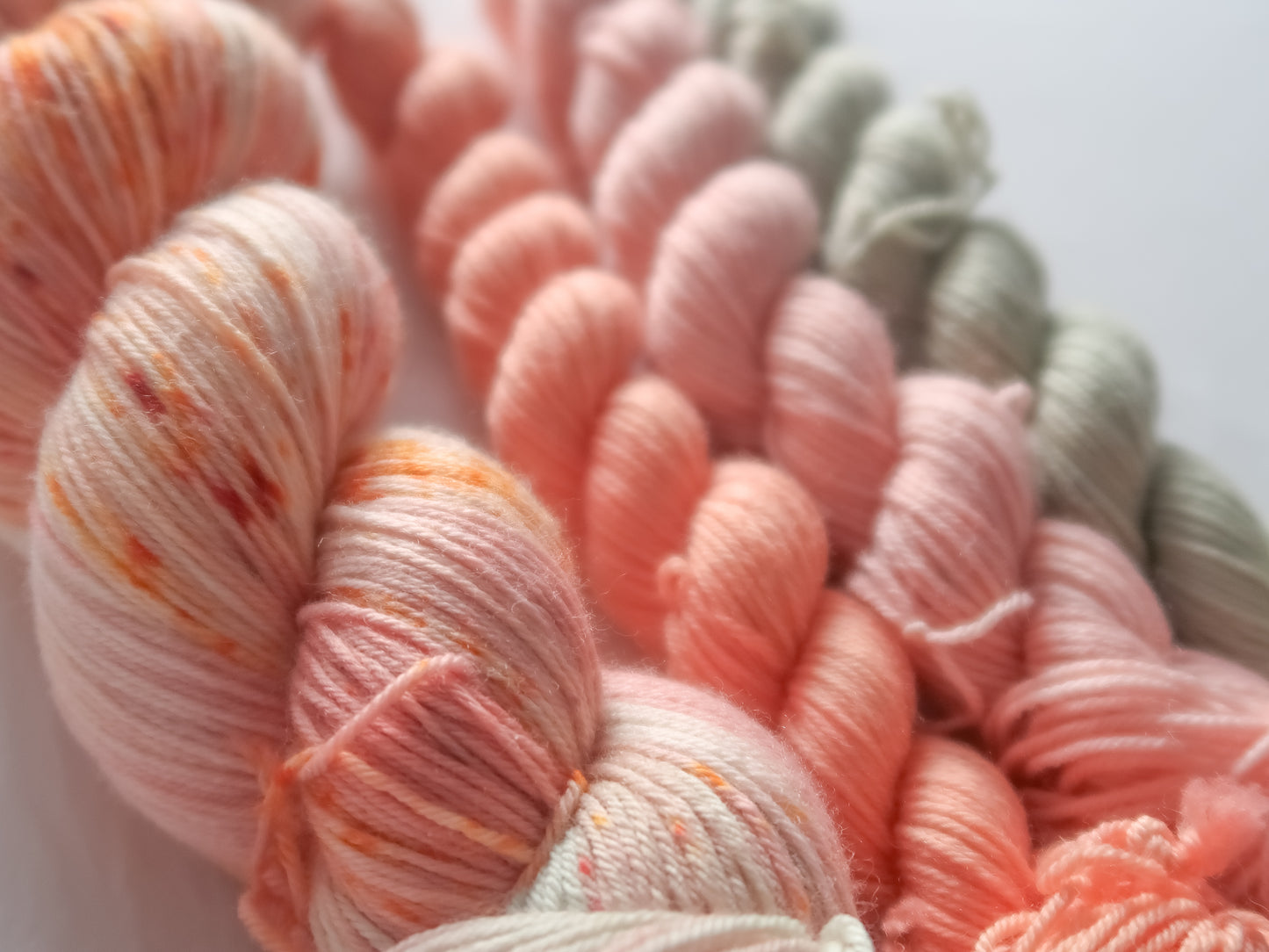 HARVEST ROSE Sock Set Bundle Handdyed Yarn from The Last Rose Collection