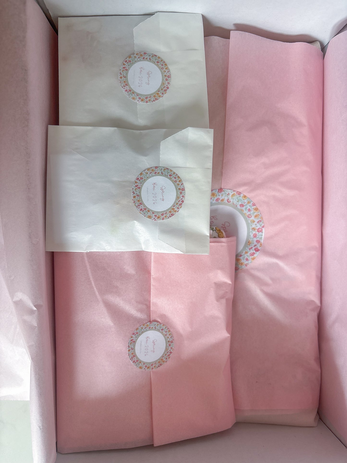 Spring Box 2026